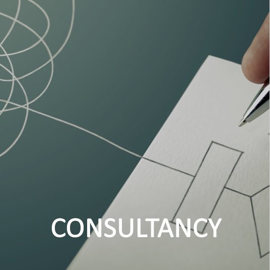 Procurement Consultancy